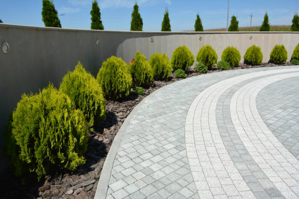 Best Driveway Repair Near Me  in Highland Acres, DE